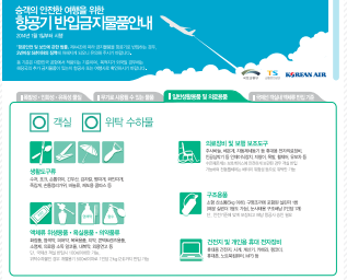 국내선 기내 반입 금지 물품 확인