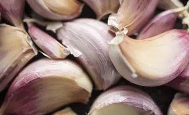 면역력을-높이는-방법-면역력에-좋은-음식-건강