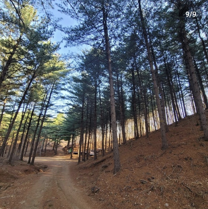 경기-포천-유식물원-캠핑장-사진-입니다.