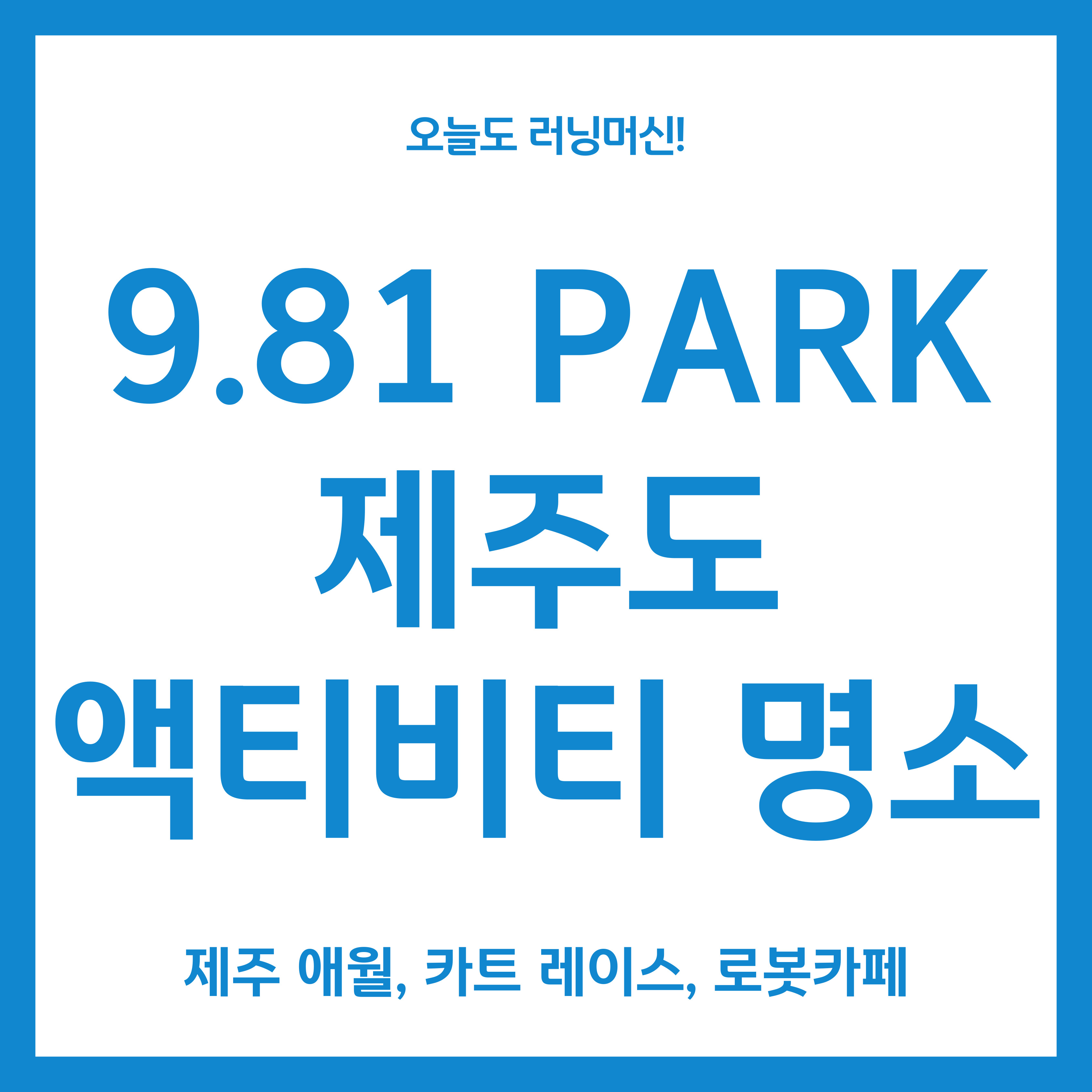 9.81 park 제주도 액티비티 명소