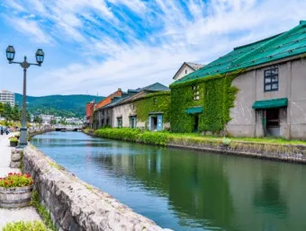 북해도 후라노 라벤더 축제 시즌 개화 시기 이벤트 일정 대표 명소 여행 완벽 가이드_4