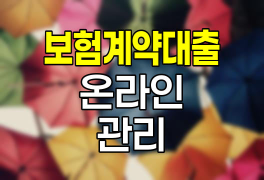 현대해상 보험계약대출 온라인 관리 방법