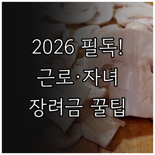 2026년 근로장려금 자녀장려금 필수..