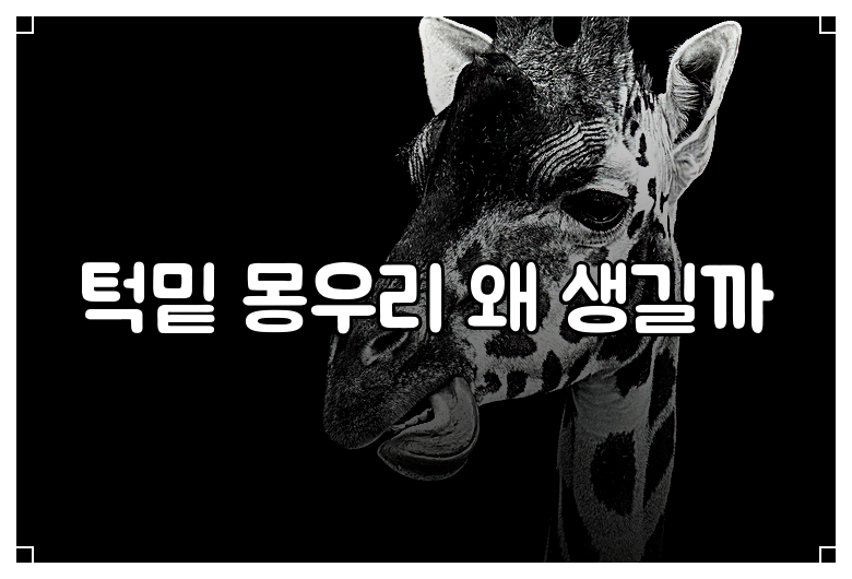 턱밑 몽우리 왜 생길까