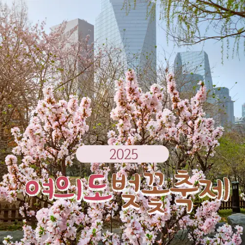 2025 여의도 벚꽃축제