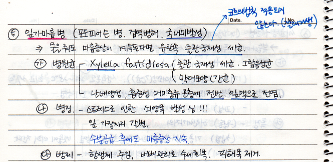 잎가마름병 (포도피어슨병)