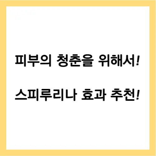 스피루리나 효과