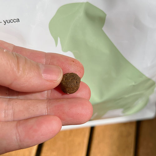 엔토벳-인섹트-사료