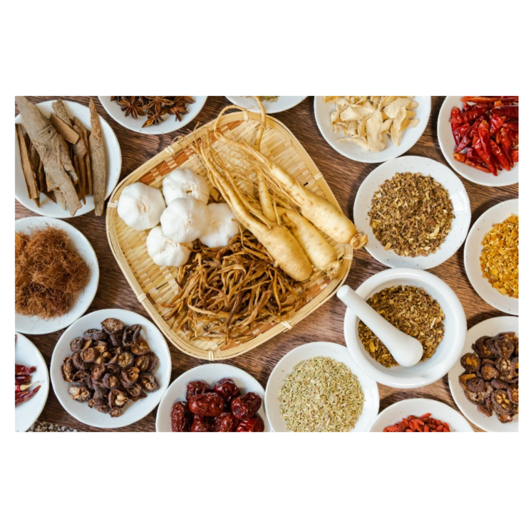 녹용과 관련된 사진입니다.