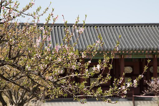 경복궁 별빛야행