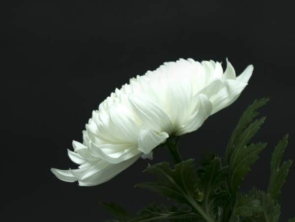 대법원 양형위원회 장단점