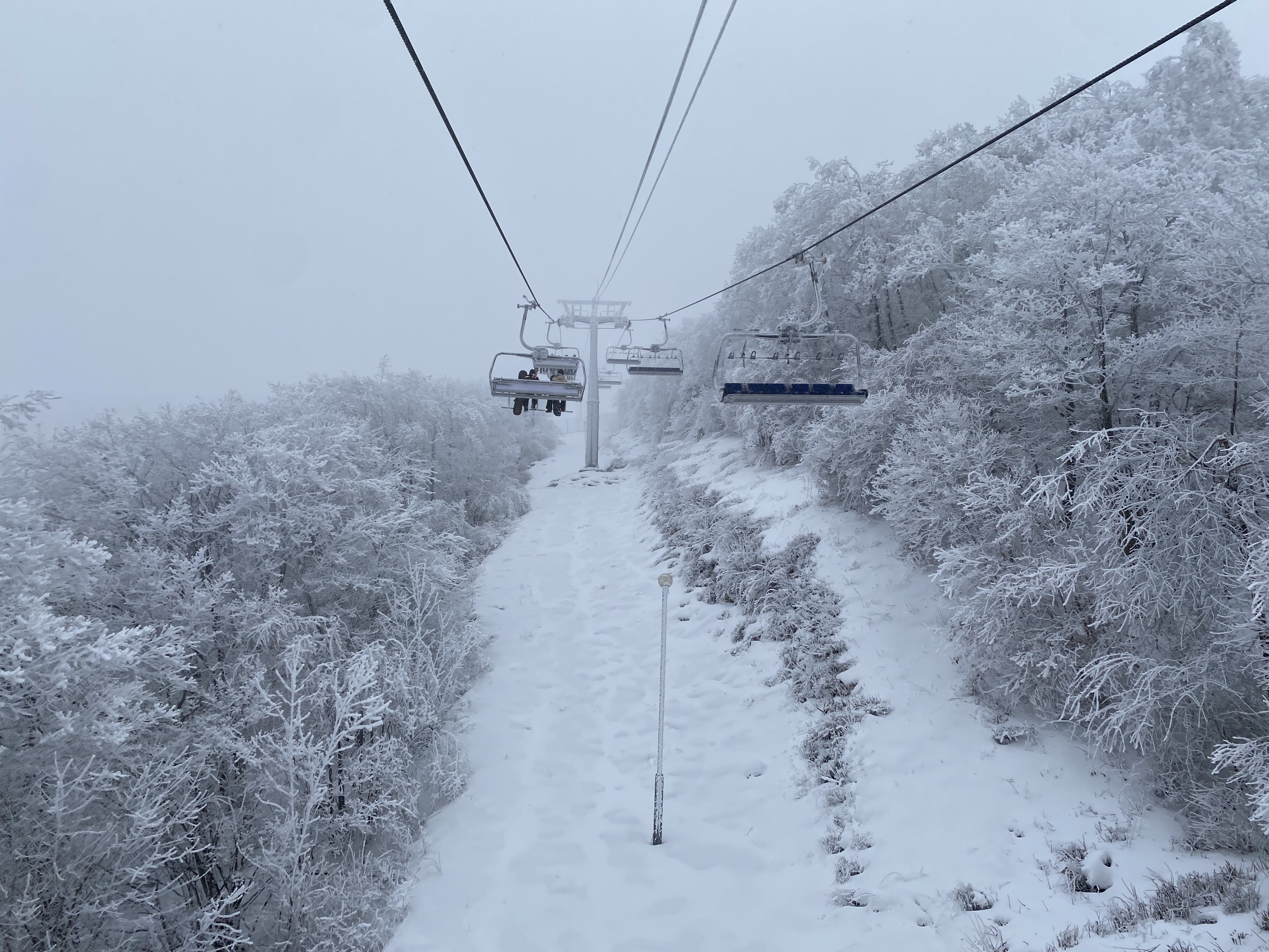 하이원-스키장의-모습