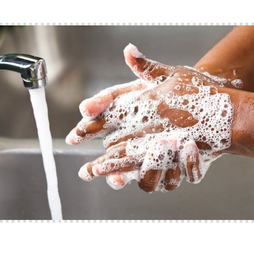 면역력 높이는 방법 강화 음식