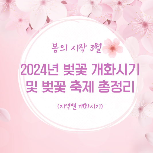 2024 벚꽃 개화시기 및 벚꽃 축제 총정리
