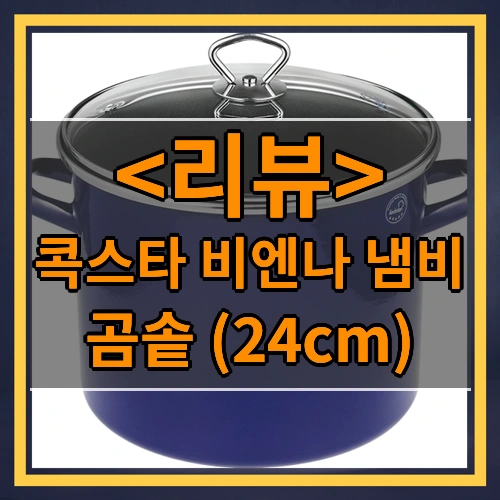 콕스타 비엔나 블루 독일냄비 인덕션 법랑 코팅 곰솥 냄비 24cm, 단품, 없음, 24cm
