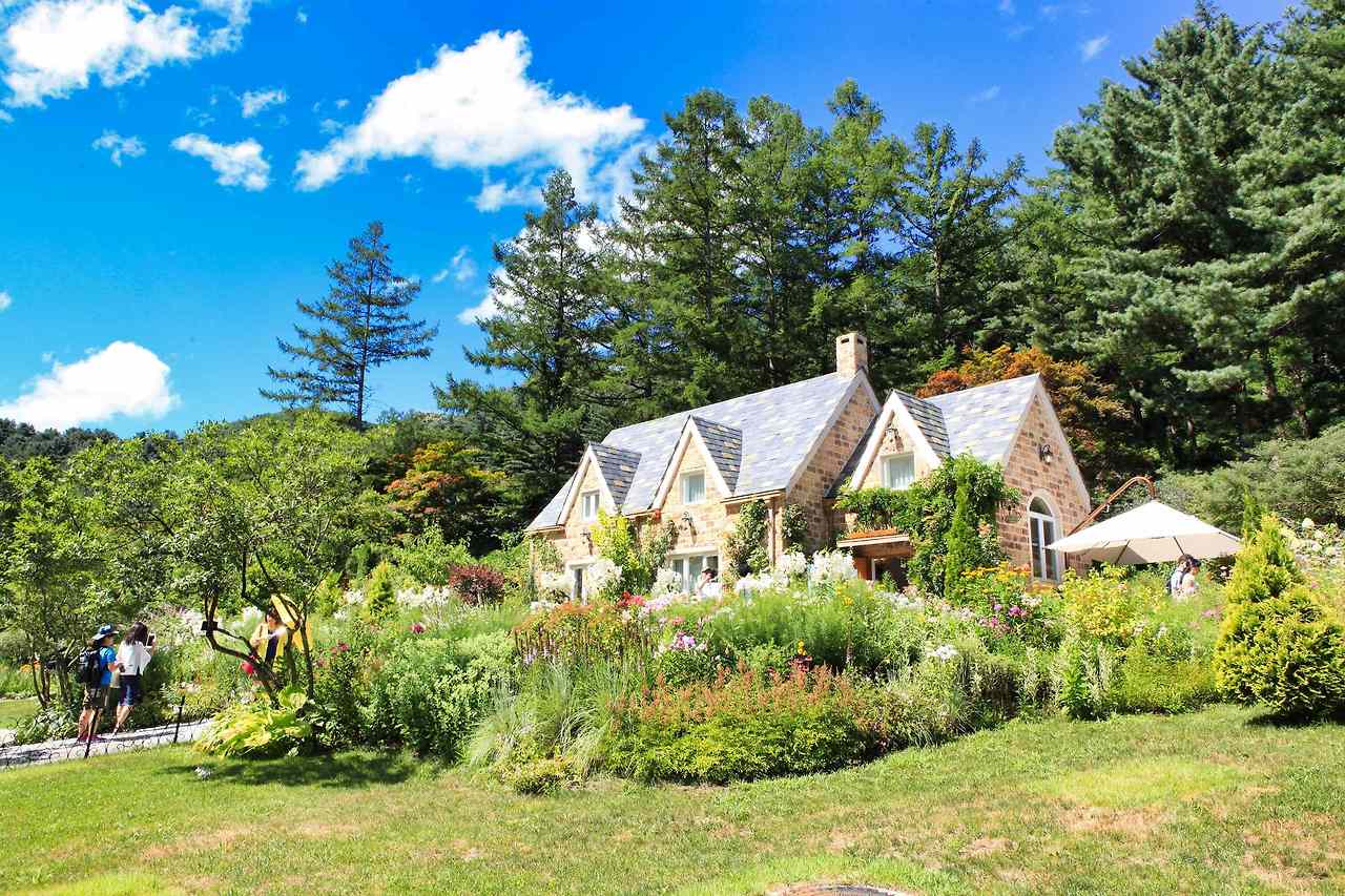 2025 아침고요수목원 수국전시회 개막! 관람 포인트 총정리 (5.31~6.22)