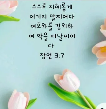 잠언 31장 25절 읽기 - 능력과 존귀로 옷을 삼고 후일을 웃으며_8