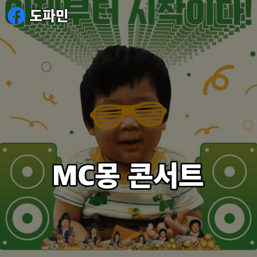 MC몽-콘서트