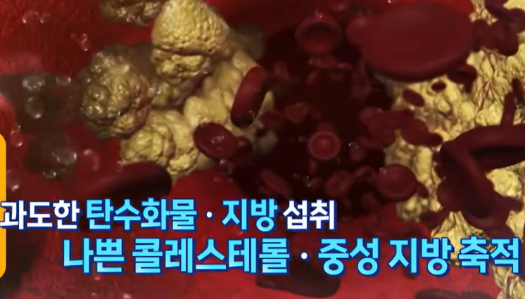 대마종자유 효능