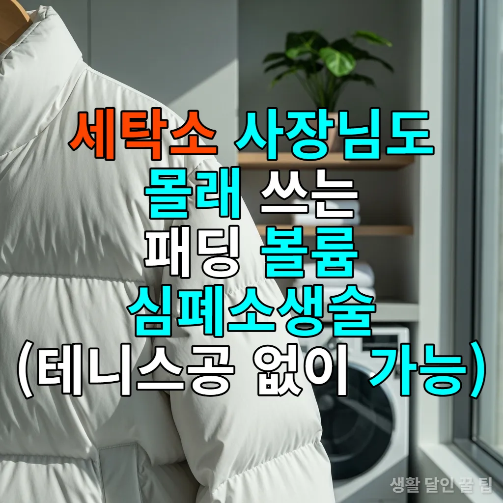 햇살이 비치는 한국의 세탁실에 걸려 있는 볼륨감이 살아난 하얀색 패딩 점퍼