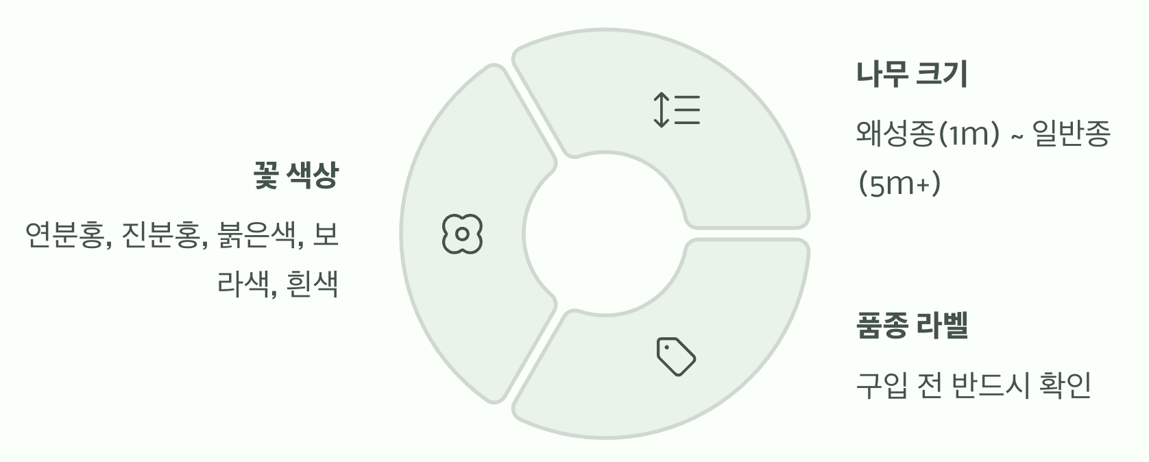 4. 품종 확인, 내가 꿈꾸던 바로 그 꽃?