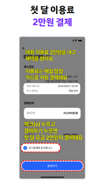 세종 이응패스
