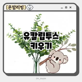 화분 잎마름 원인 햇빛부족 건조 과습 진단 맞춤 처방 가이드_8
