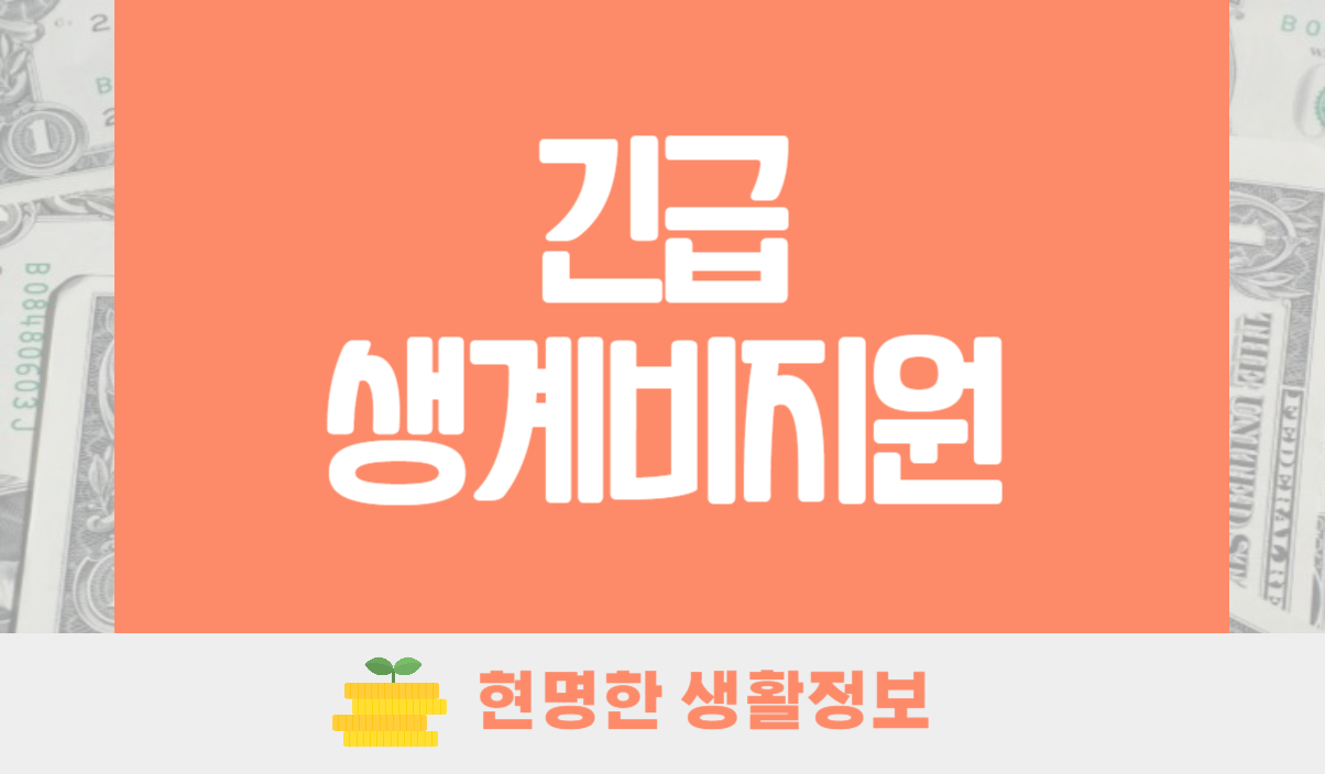 2024 긴급복지생계지원금