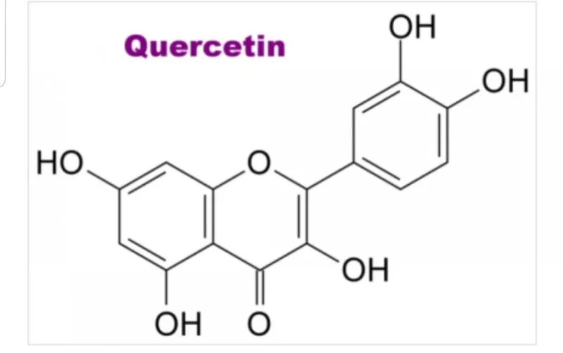 퀘르세틴 효능부족 현상복용방법 시기부작용많은 음식적정량 안내_3