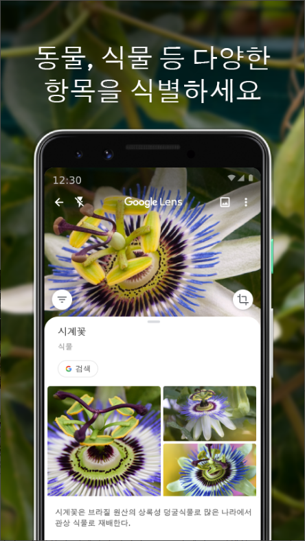 Google 렌즈, 텍스트 스캔 및 번역하기, 코드 스캔하기