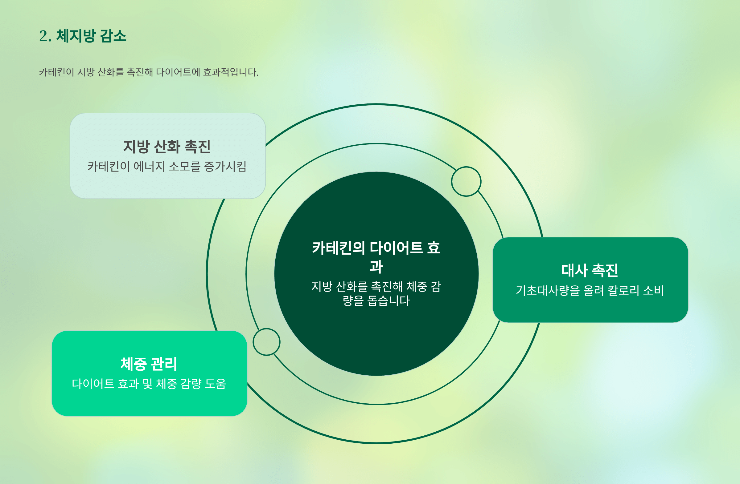 녹차 사진입니다.