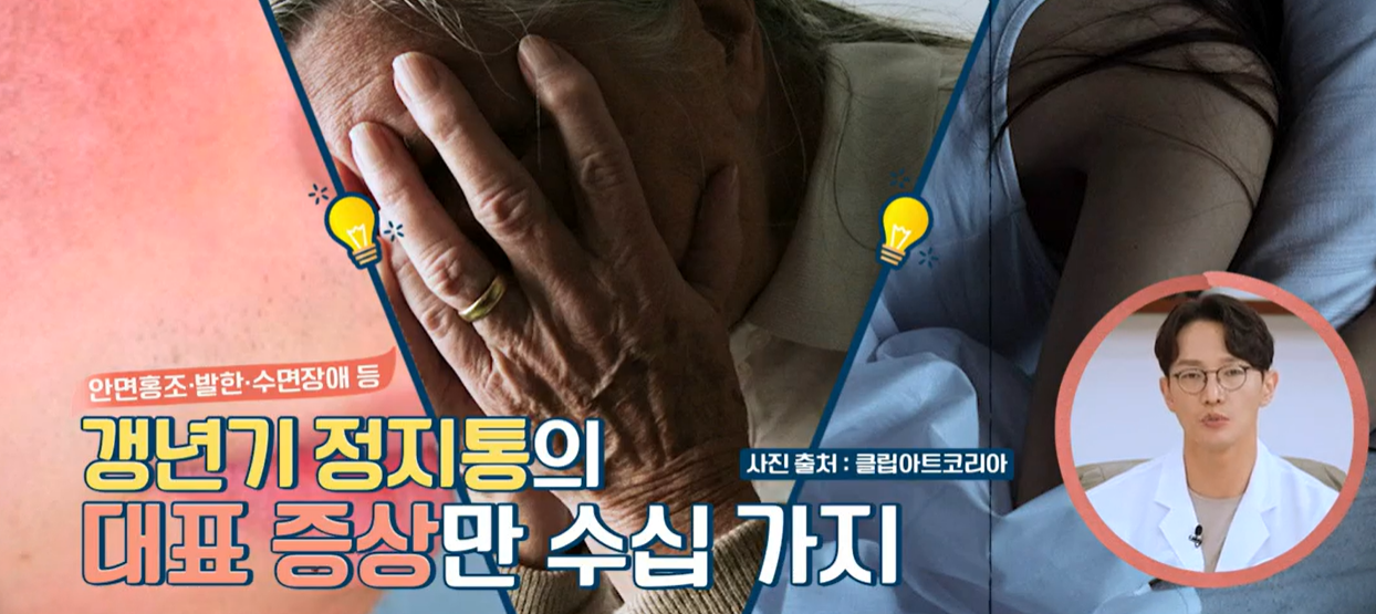 갱년기 유산균 YT1 효능