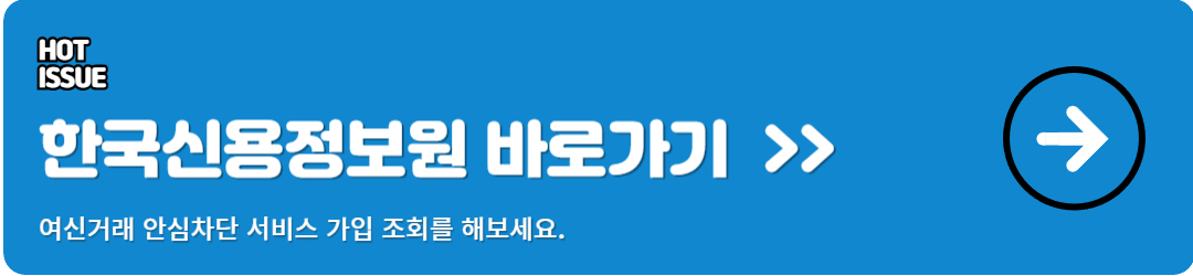 여신거래 안심차단 서비스 조회 방법