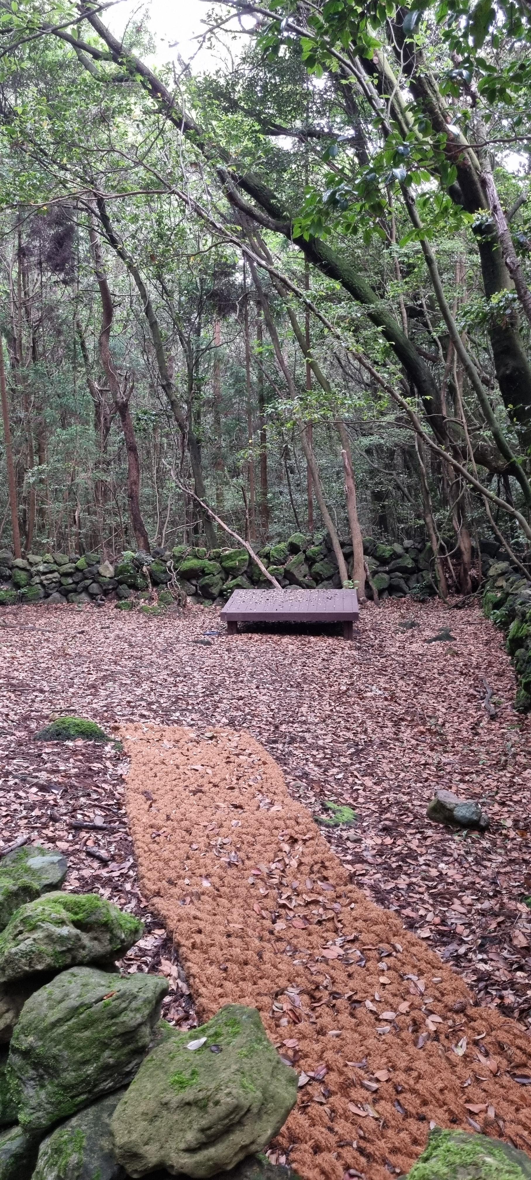 제주 추억의 숲길