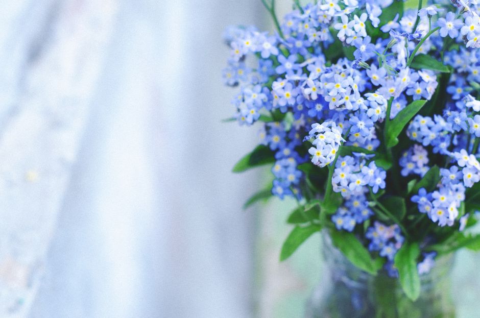Delicate bouquet of blue forget-me-nots in a soft focus setting, evoking a serene and tranquil mood.