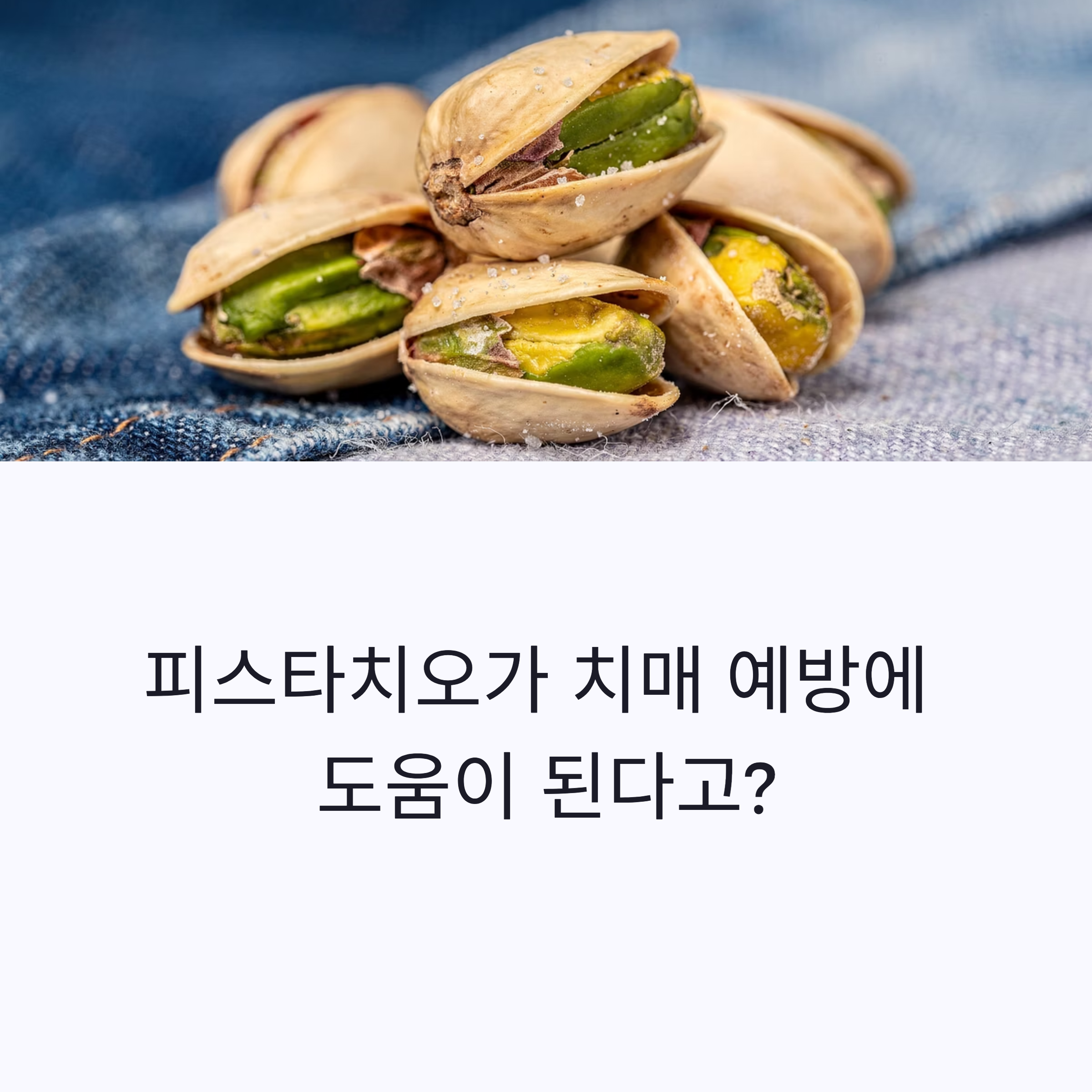 피스타치오: 작지만 강한 견과류