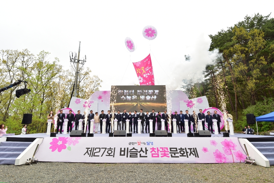 제 28회 비슬산 참꽃문화제 특징