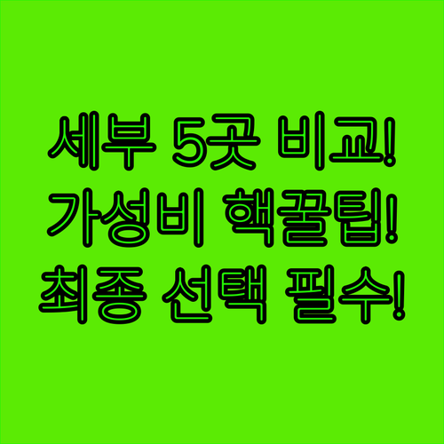 세부 숙소 가성비 시티 해변 마운틴 ..