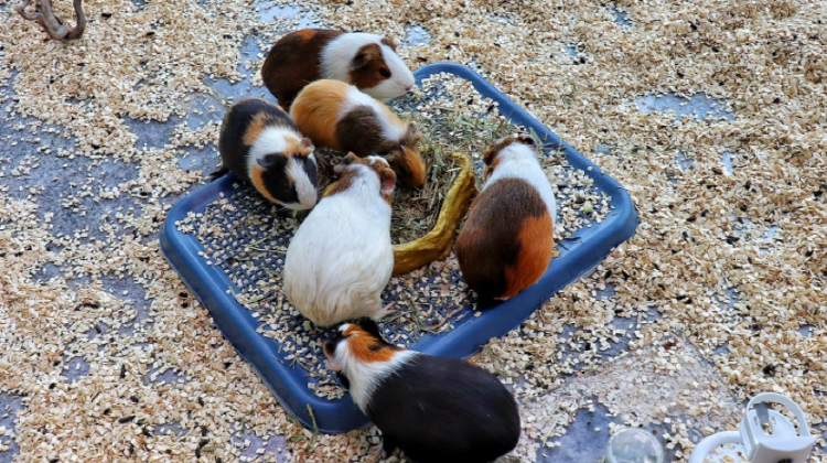 이천시 환경학습관