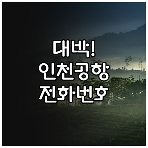 타이에어아시아엑스 인천공항 카운터 전..