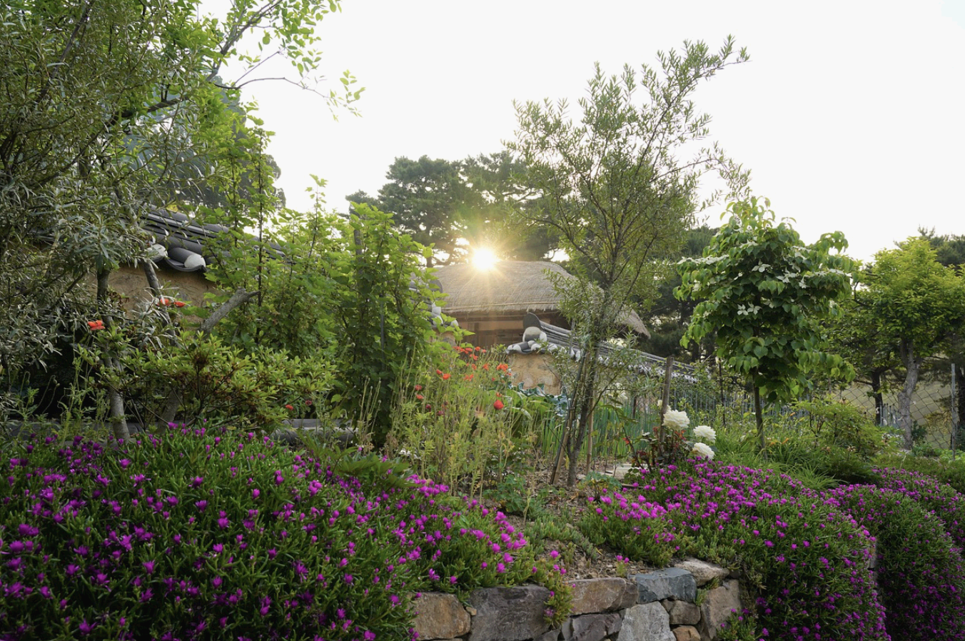 도심 속에서 살아남은 한옥들 북촌, 익선동의 가치와 매력