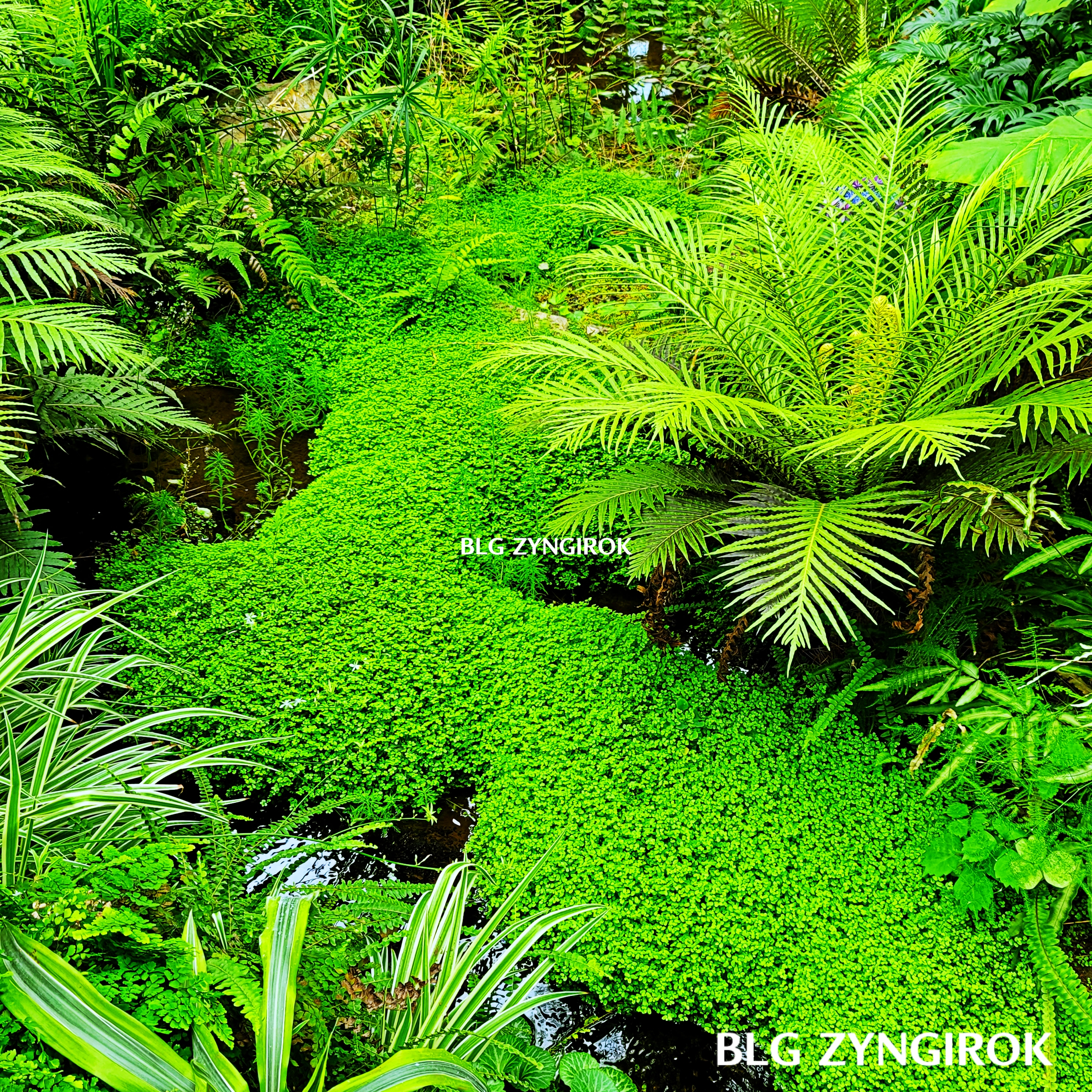 양주-오랑주리-카페-내부-숲이다.