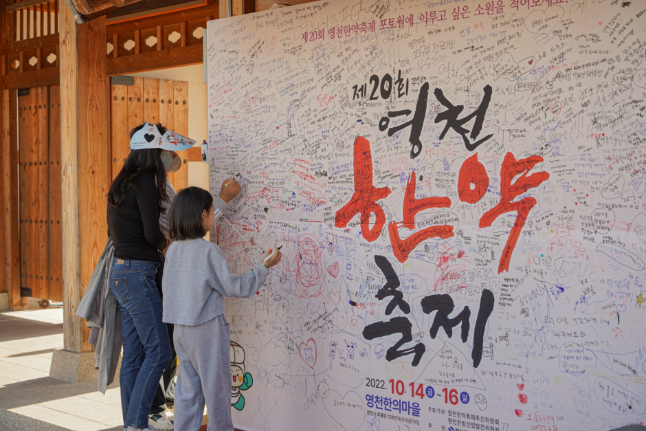 제 22회 영천한약축제 with 작약꽃 기본정보와 프로그램 소개