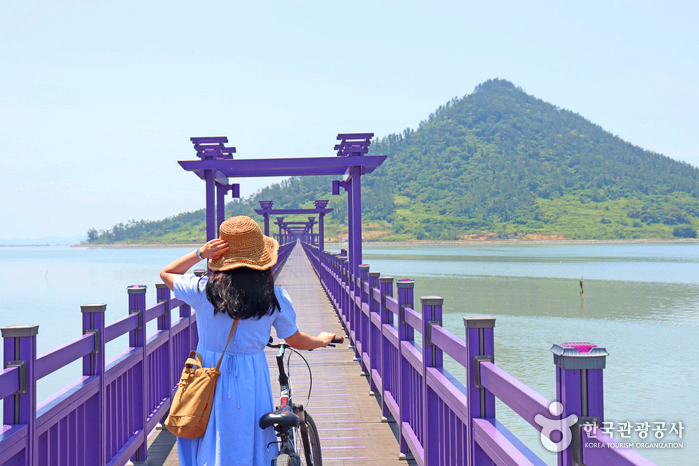 보라색 나무다리를 한여인이 자전거를 끌고 가고 있다.