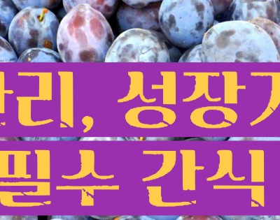 푸룬 건자두 효능 부작용