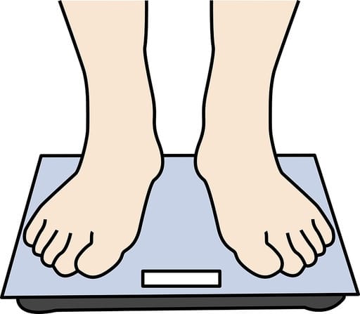 체중계 추천 고르는법 정밀도 비교