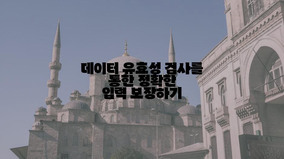 데이터 유효성 검사를 통한 정확한 입력 보장하기