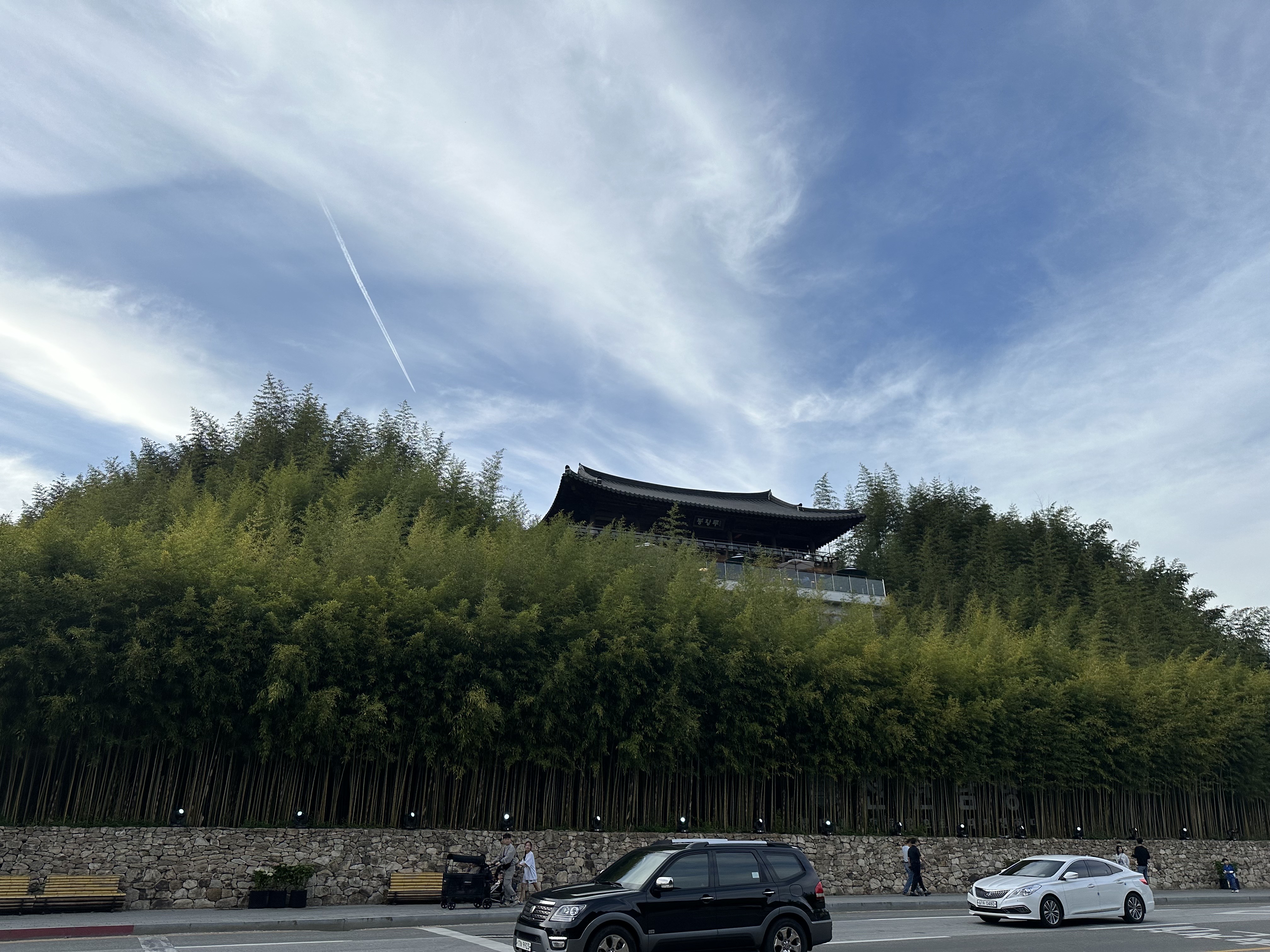 담양 대나무 축제