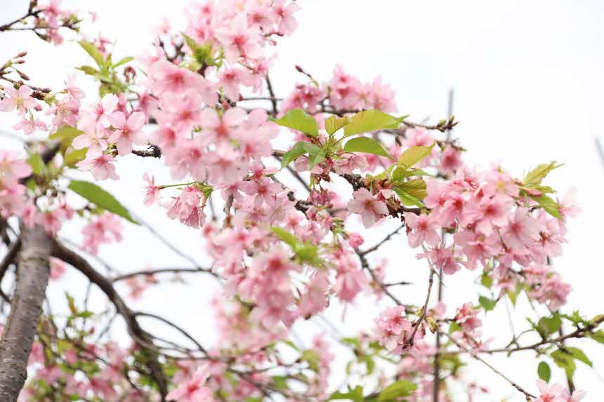 신용 점수 이해하기: 신용 점수를 높이는 방법