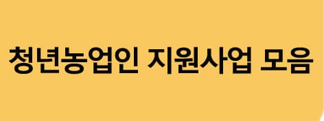 청년농업인지원사업